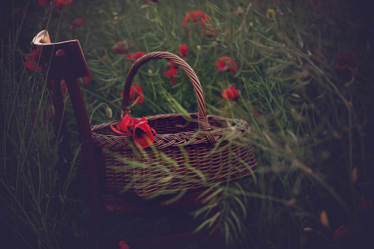 marianna_marinina_assignment_2-11