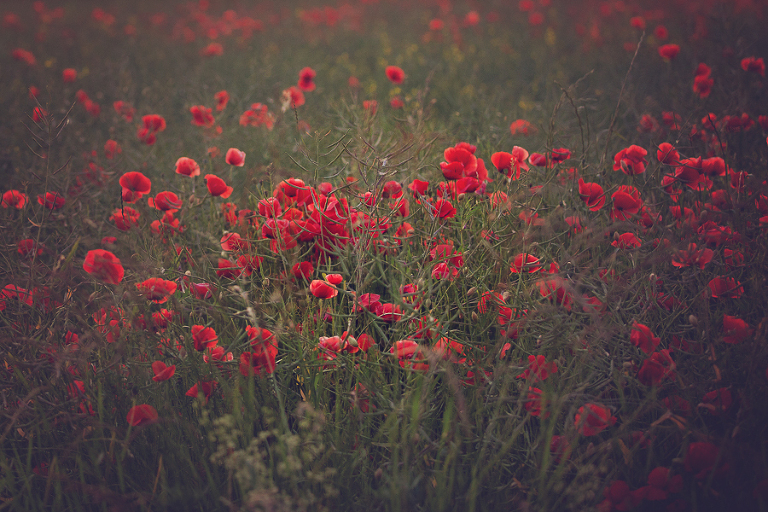 marianna_marinina_assignment_2-17