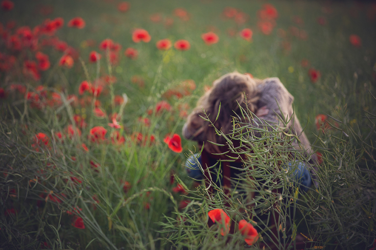 marianna_marinina_assignment_2-6_2