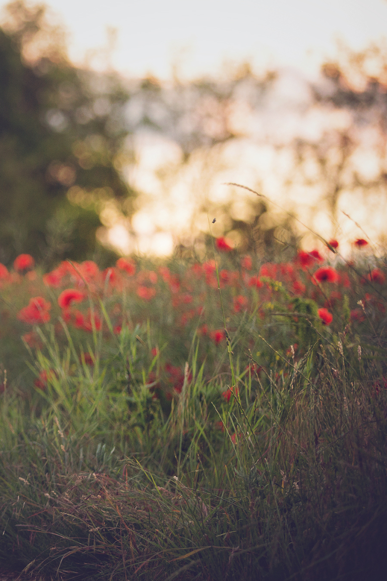 marianna_marinina_assignment_2-8