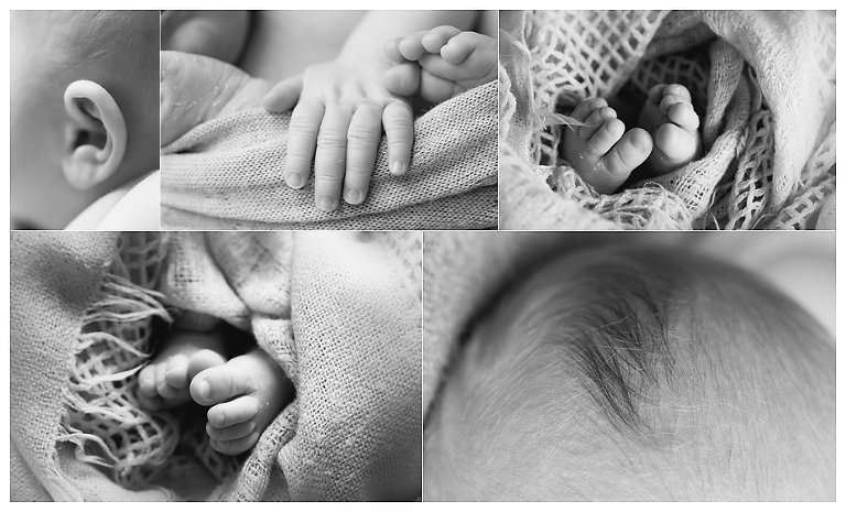 book fotografico neonato varese milano novara pavia monza verbania 12