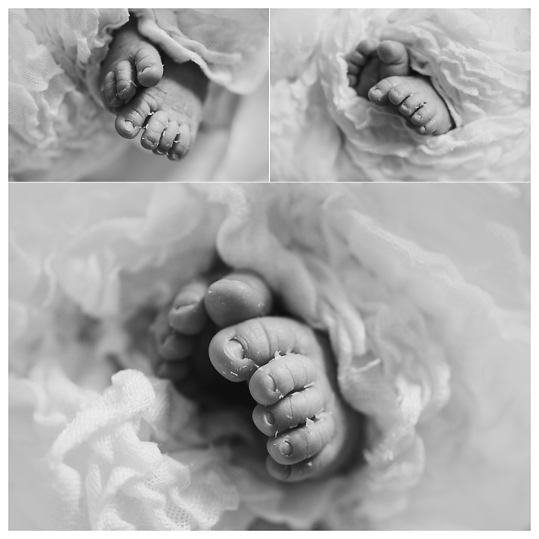 fotografo neonati milano varese lugano como novara 12