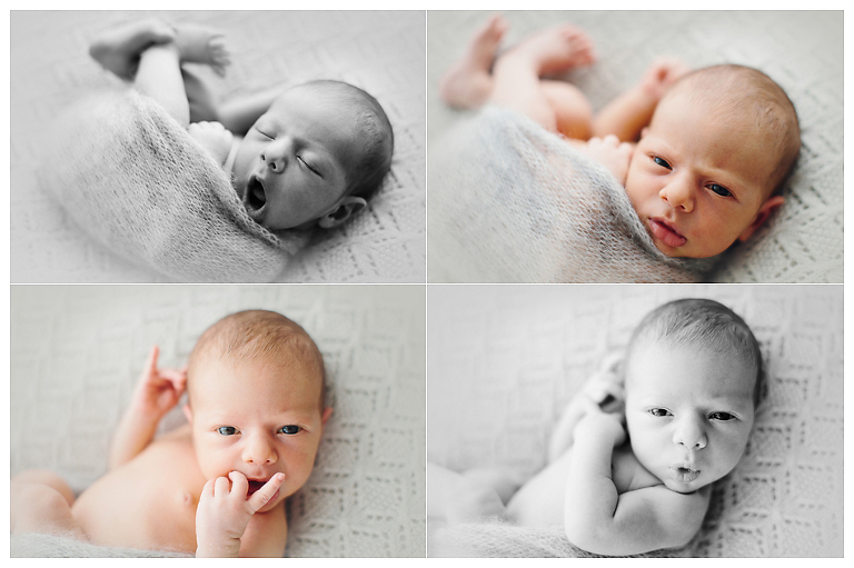 fotografa neonati milano varese Collage 4