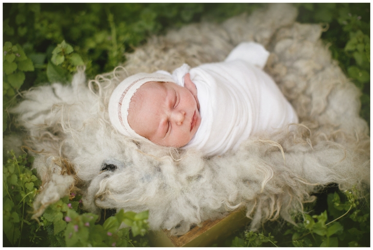 servizio fotografico neonati