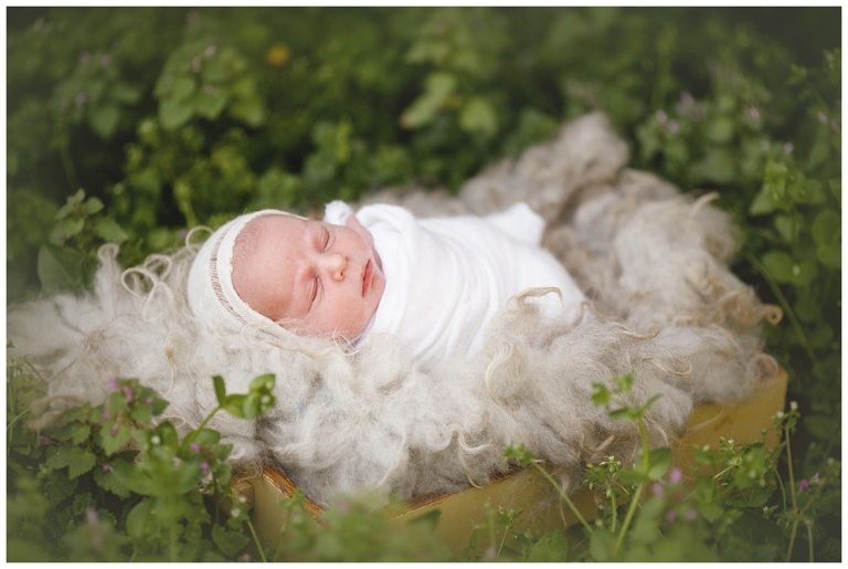 servizio fotografico neonati