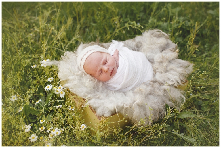servizio fotografico neonati