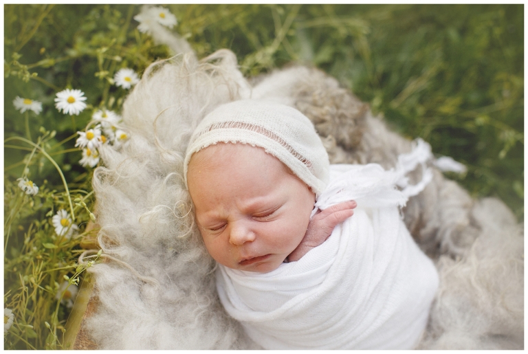 servizio fotografico neonati