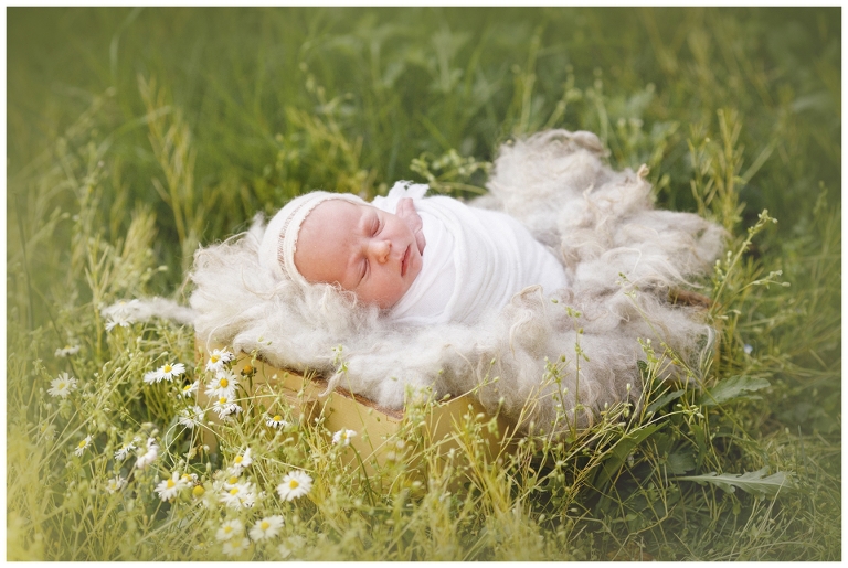 servizio fotografico neonati