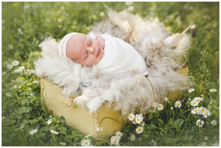 servizio fotografico neonati