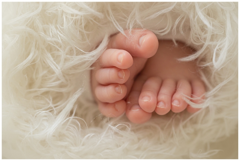 workshop fotografia di neonati